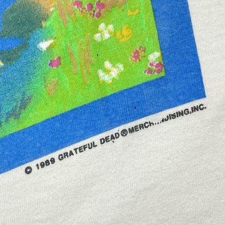 GRATEFUL DEAD 1989 SPRING TOUR WHITE FITS LARGE 0432