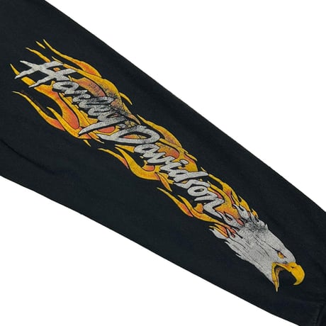 HARLEY DAVIDSON 1991 EAGLE FLAME COLORADO LS LARGE 5961