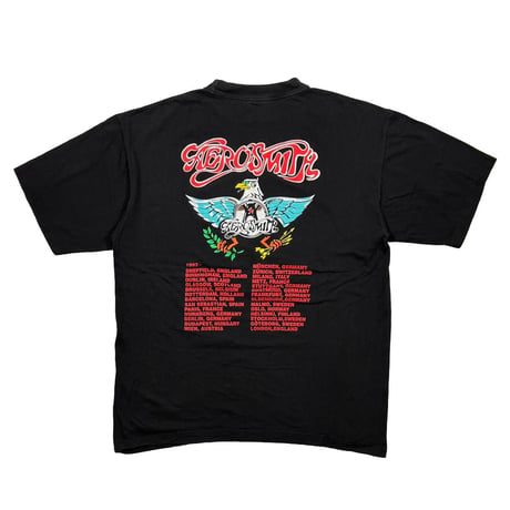 AEROSMITH 1993 AERO FORCE ONE EURO XL 0209