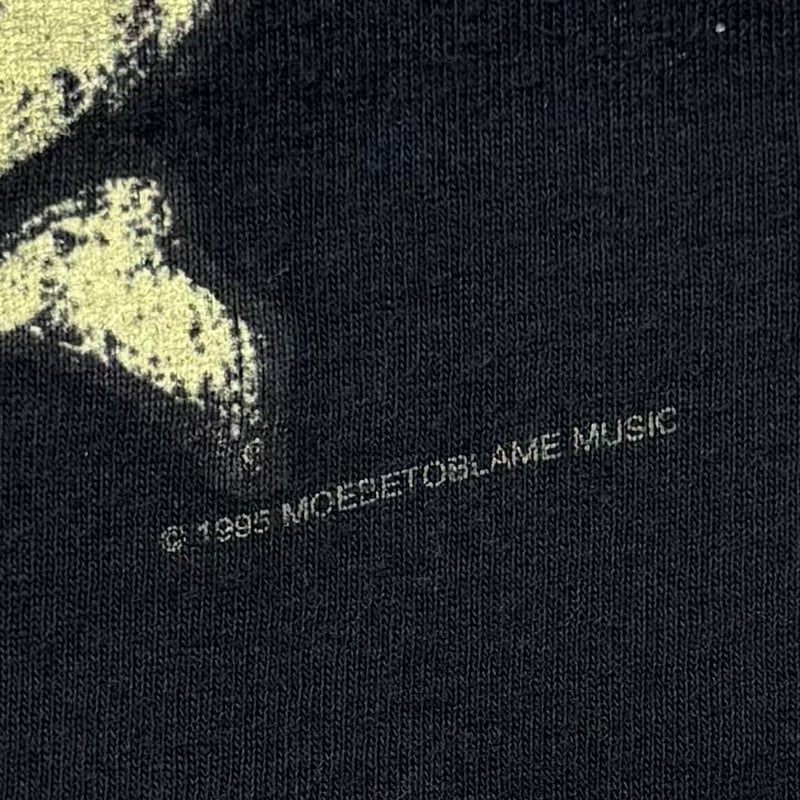 RED HOT CHILI PEPPERS ONE HOT MINUTE FAIRY LS A
