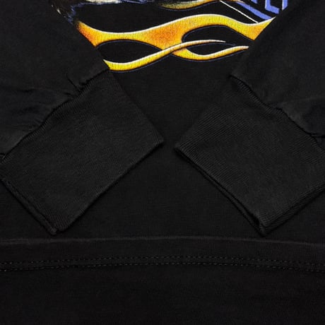 HARLEY DAVIDSON EAGLE BLACK HILLS RAPID CITY SOUTH DAKOTA LS XL 0776