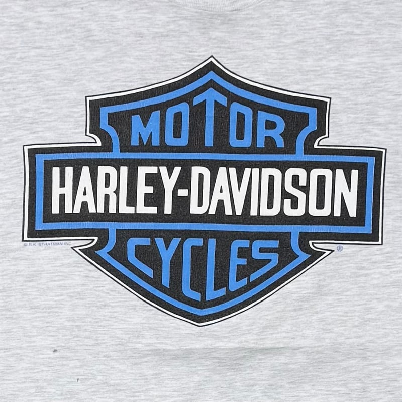 HARLEY DAVIDSON ARM BLUE FLAME TEXAS EMBLEM LS