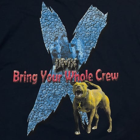 DMX BRING YOUR WHOLE CREW ALSTYLE 2XL 2372