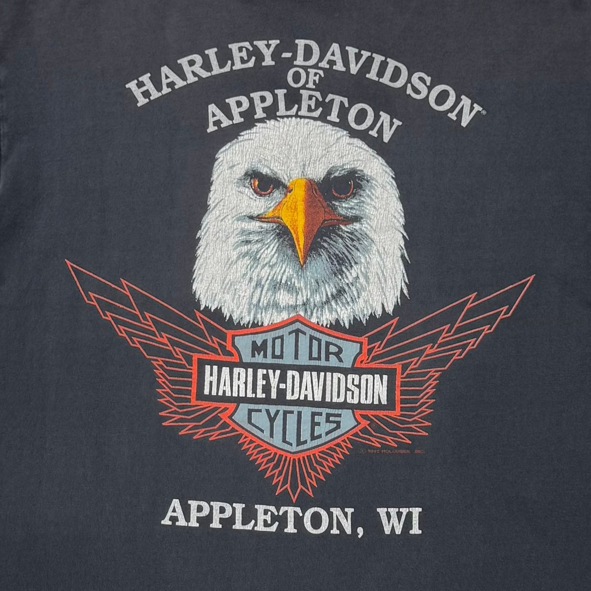 HARLEY DAVIDSON JUST RIDE IT APPLETON LARGE 132