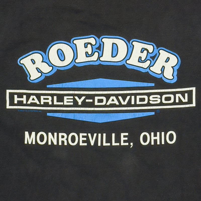 HARLEY DAVIDSON 1993 ROEDER BLUE FIRE FLAME LS HARLEY DAVIDSON 1993 ROEDER BLUE FIRE FLAME LS