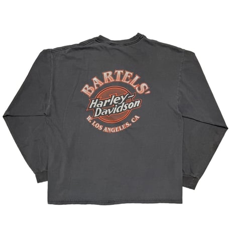 HARLEY DAVIDSON BIG EMBLEM ARM CHAIN PRINT 2002 BARTELS XL 3783
