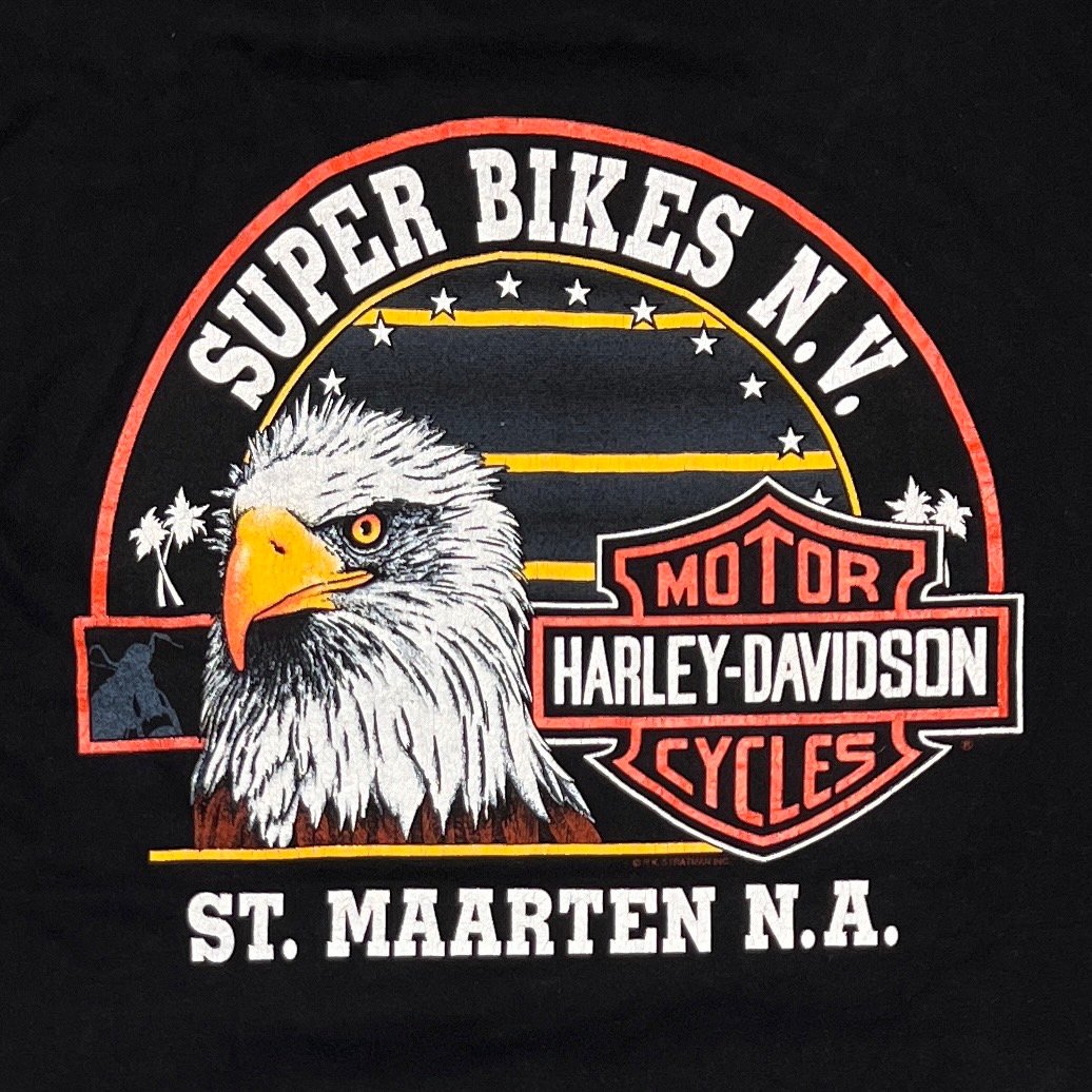 Harley-Davidson ブルーフレイム image.jpg
