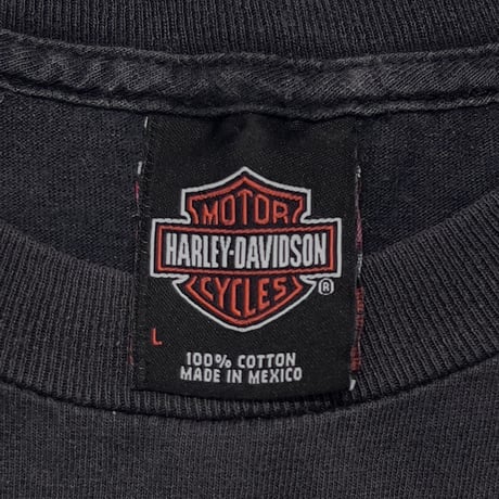 HARLEY DAVIDSON 2002 FLAME BACK BLANK EMBLEM BARNETT LS LARGE 3779