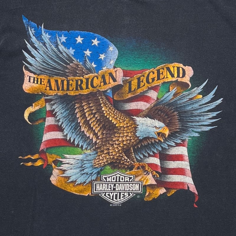 HARLEY DAVIDSON FLAG & EAGLE DUDLEY PERKINS CO.