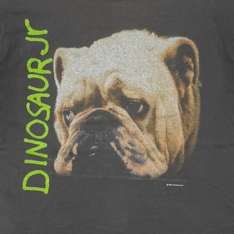 DINOSAUR Jr Whatever's Cool with Me DOG HANES LARGE 4683