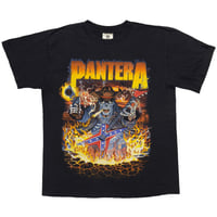 PANTERA COWBOYS FROM HELL WINTER LAND LARGE 6124