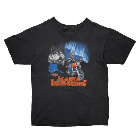 CATEGORY HARLEY DAVIDSON | greatLAnd OSAKA