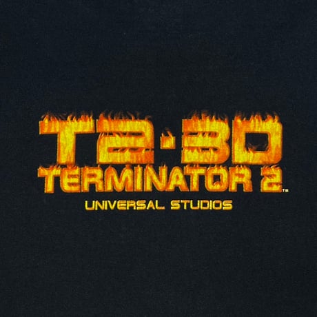 TERMINATOR 2 FLAMING HEAD T-2 3D UNIVERSAL STUDIOS LARGE 2573