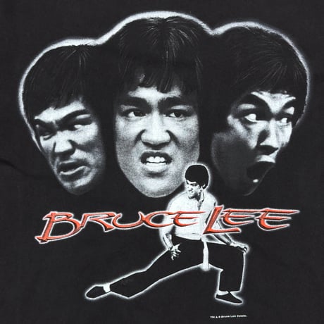 BRUCE LEE THE DRAGON 龍 CHANGES LARGE 6133