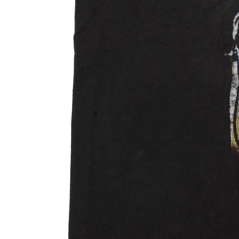PEARL JAM 2000 BINAURAL GILDAN LARGE 0515 | gre