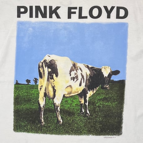 PINK FLOYD ATOM HEART MOTHER WHITE DELTA XL 7819