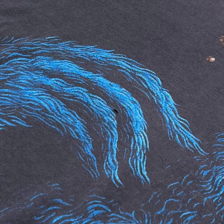 SESAME STREET COOKIE MONSTER BLACK OUT CHANGES FITS XL 2538