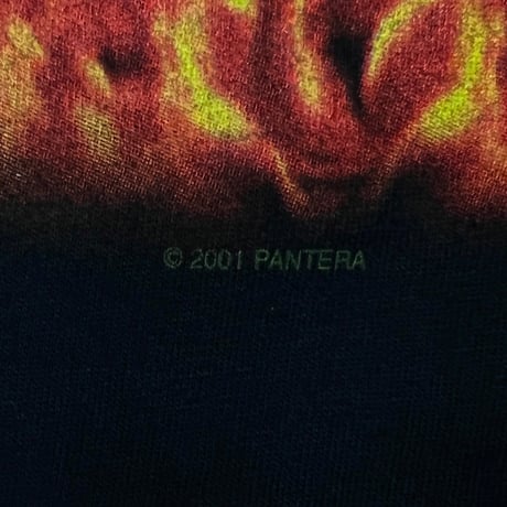 PANTERA REINVENTING FLAMING NAKED GIRL 2001 CHAMP XL 6441