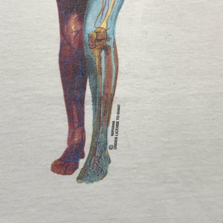 NIRVANA IN UTERO GIANT BY TULTEX XL 5336