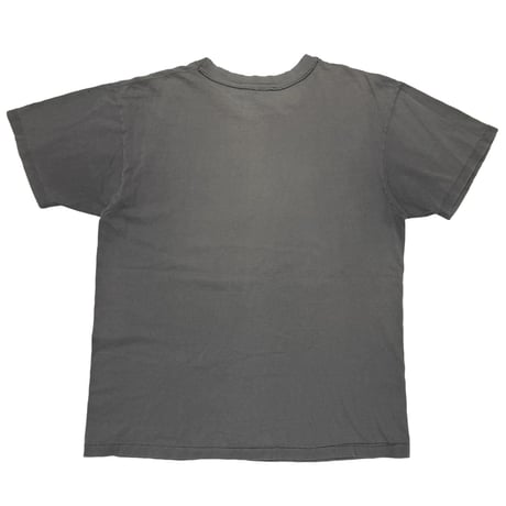 DINOSAUR Jr Whatever's Cool with Me DOG HANES LARGE 4683