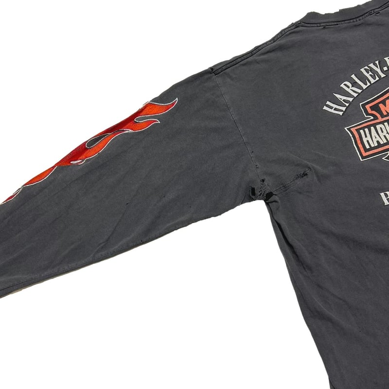 HARLEY DAVIDSON YOTSPONG UNTAMED TIGER FLAME P