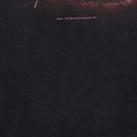 PANTERA 2003 COWBOYS FROM HELL TENNESSEE RIVER XL 0041