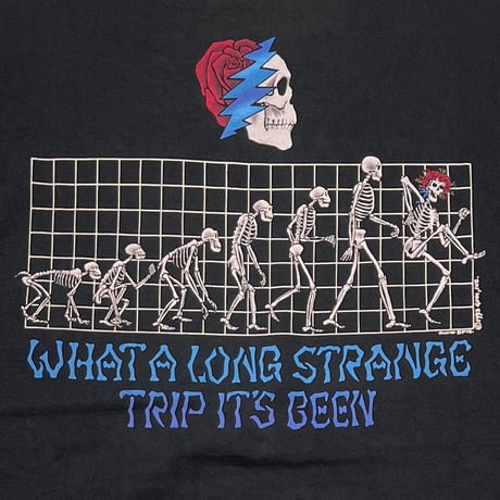 GRATEFUL DEAD EVOLUTION What a Long Strange Trip It's Been LIQUID BLUE XL 5286