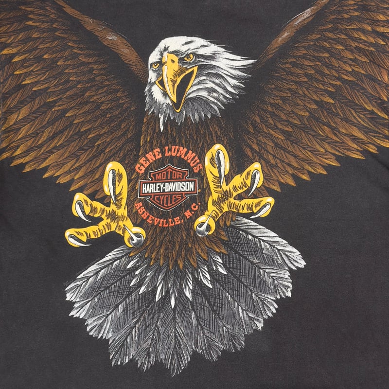 HARLEY DAVIDSON 1993 BIG EAGLE OVP GENE LUMMUS
