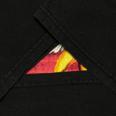 LED ZEPPELIN SWAN SONG RECORDS LOGO HANES XL 2506