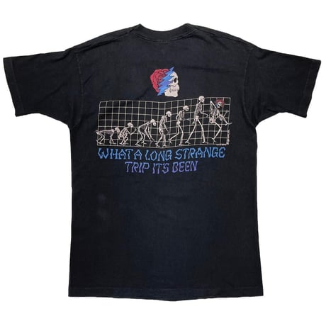GRATEFUL DEAD 1993 WHAT A LOMG STRANGE TRIP IT'S BEEN LIQUID BLUE LARGE 3204