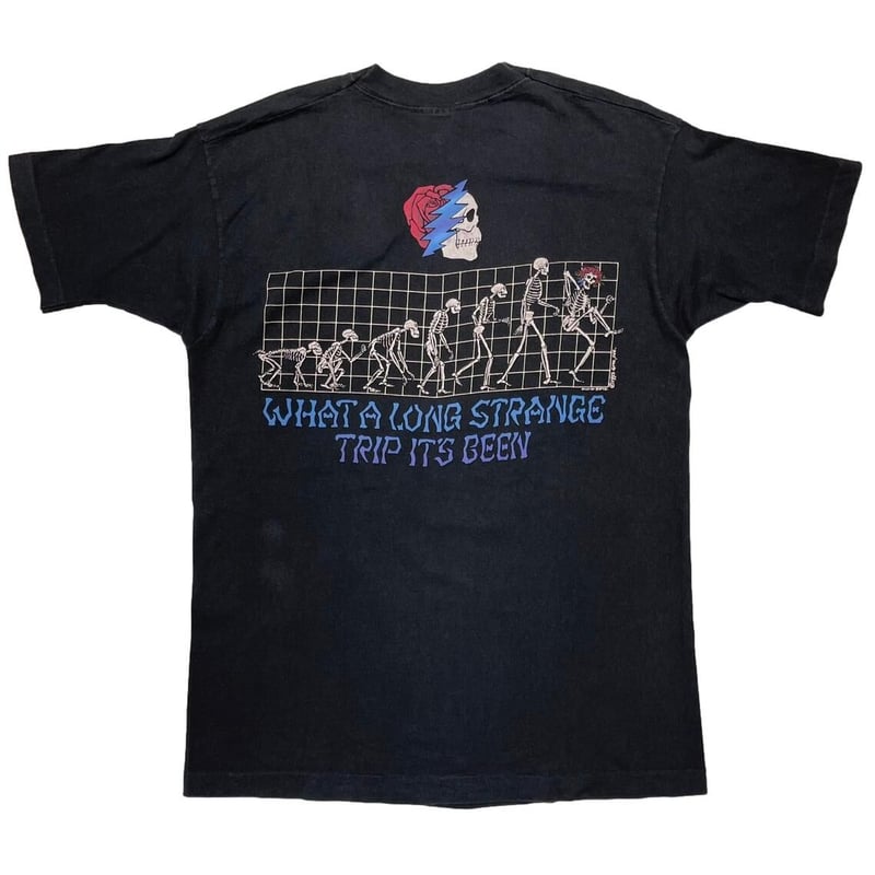 GRATEFUL DEAD 1993 WHAT A LOMG STRANGE TRIP IT'