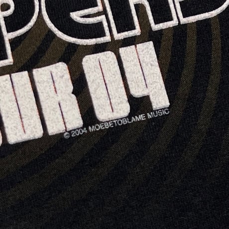 RED HOT CHILIPEPPERS 2004 SUMMER TOUR 04 FRUIT OF THE LOOM LARGE 6750