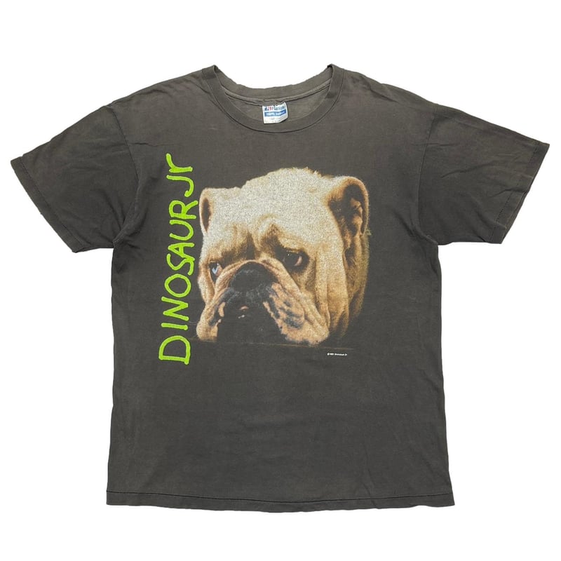 DINOSAUR Jr Whatever