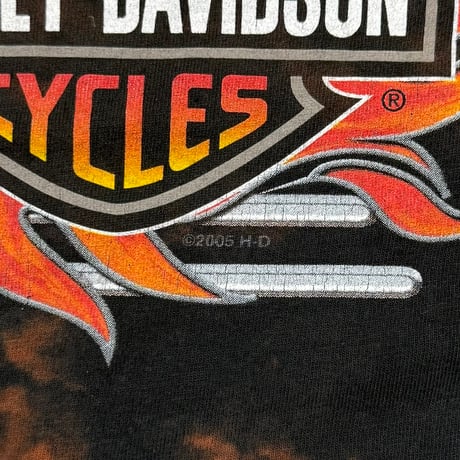 HARLEY DAVIDSON 2005 ARM FLAME LS XXL 4626