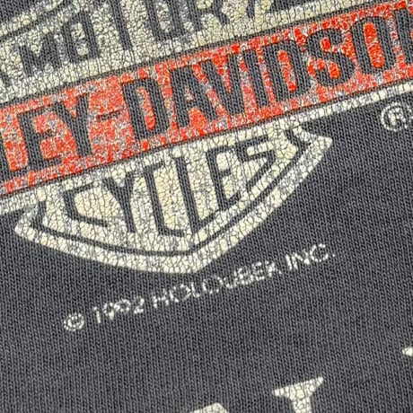 HARLEY DAVIDSON HUGE EAGLE HEAD MILLS 1992 LARGE 4646