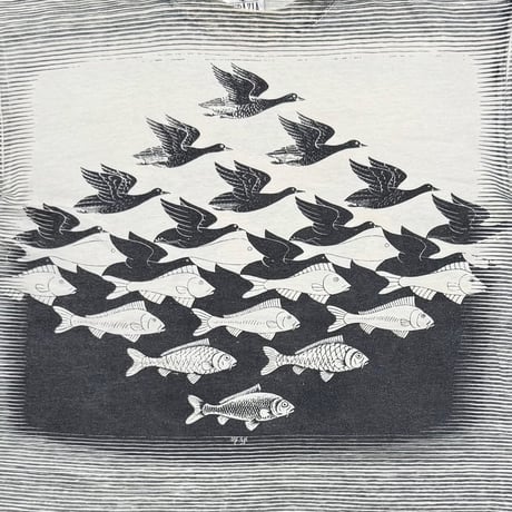 M.C. ESCHER Sky and Water I OVP WHITE ANDAZIA LARGE 6477