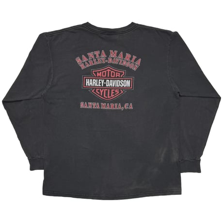 HARLEY DAVIDSON FLAME EAGLE IRON EMBLEM SANTA MARIA LS XL 5995