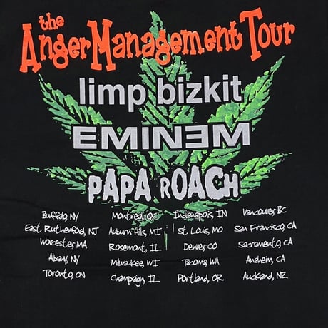 LIMP BIZKIT ANGER MANAGEMENT TOUR FRUIT OF THE LOOM XL 1612