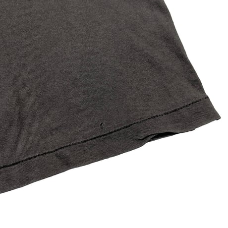 DINOSAUR Jr Whatever's Cool with Me DOG HANES LARGE 6892