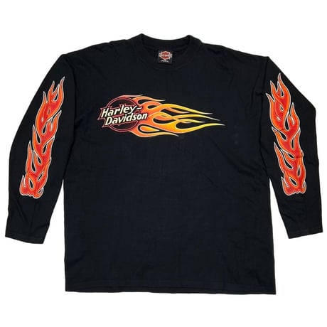 HARLEY DAVIDSON DOCKGATE MOTORCYCLES FLAME LS XL 1023