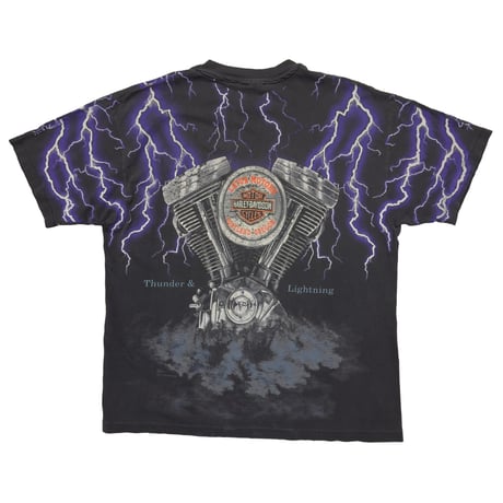 HARLEY DAVIDSON THUNDER & LIGHTNING OVP FITS XL 9100