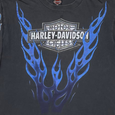 HARLEY DAVIDSON	BLUE V FLAME SNDIEGO EMBLEM LS LARGE 5963