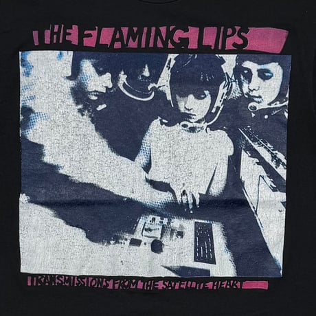 THE FLAMING LIPS PUT A WATERBUG HANES LARGE 8355
