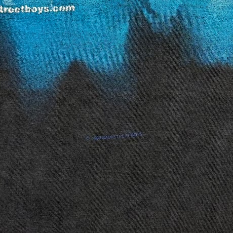 BACKSTREET BOYS INTO THE MILLENIUM TOUR BG LARGE 3901