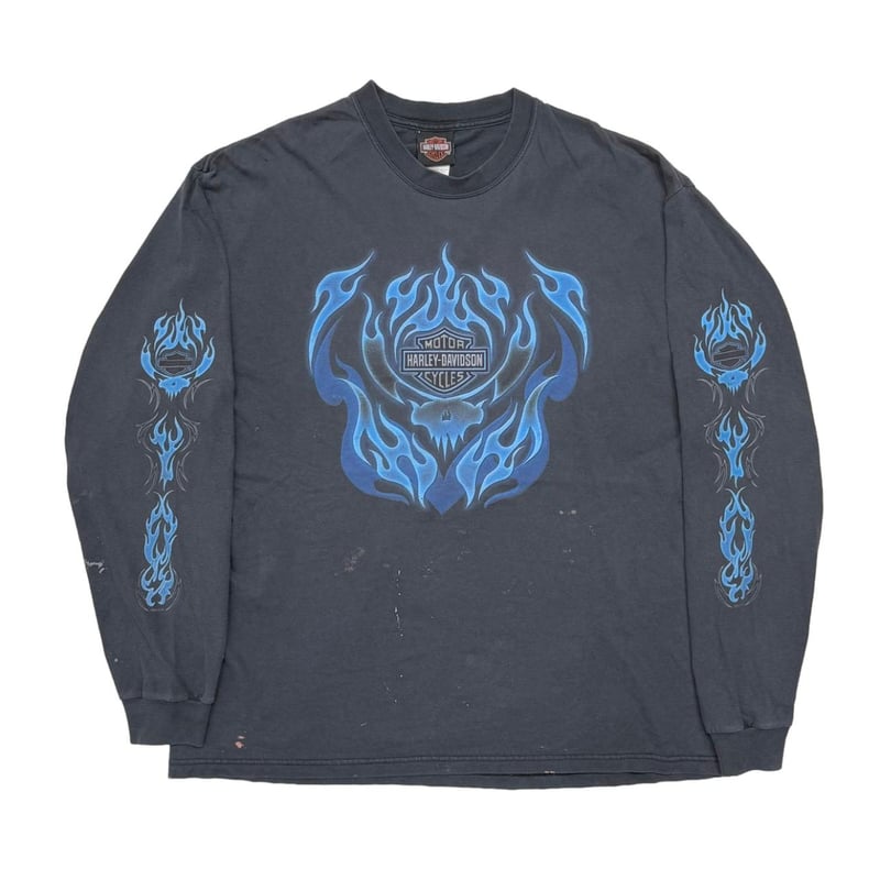 HARLEY DAVIDSON Blue flame ルーニーチューンズ