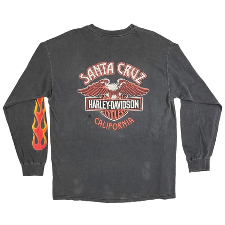 HARLEY DAVIDSON 2000 FLAME EAGLE LS SANTA CRUZ HANES LARGE 2253