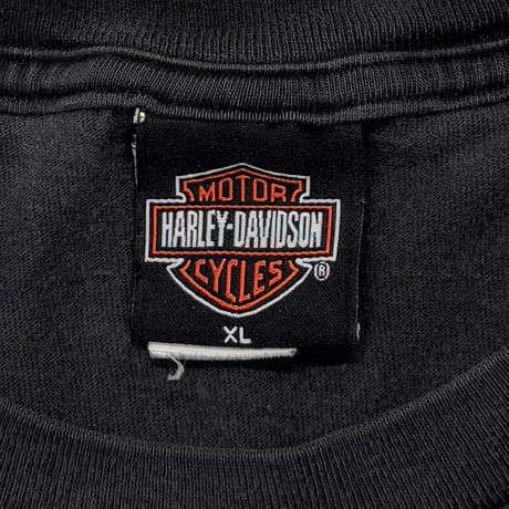 HARLEY DAVIDSON FLAME EAGLE IRON EMBLEM SANTA MARIA LS XL 5995