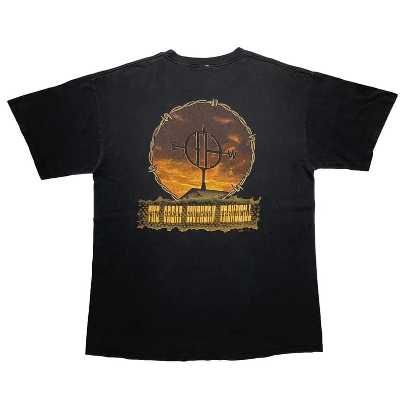 パンテラ　1995年製　ヴィンテージタペストリー PANTERA 中古・古着通販】Hanes バンドTシャツ PANTERA(パンテラ) (ヘインズ) ミュージシャン