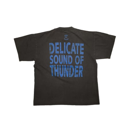 PINK FLOYD 1992 DELICATE SOUND OF THUNDER BROCKUM XL 2508