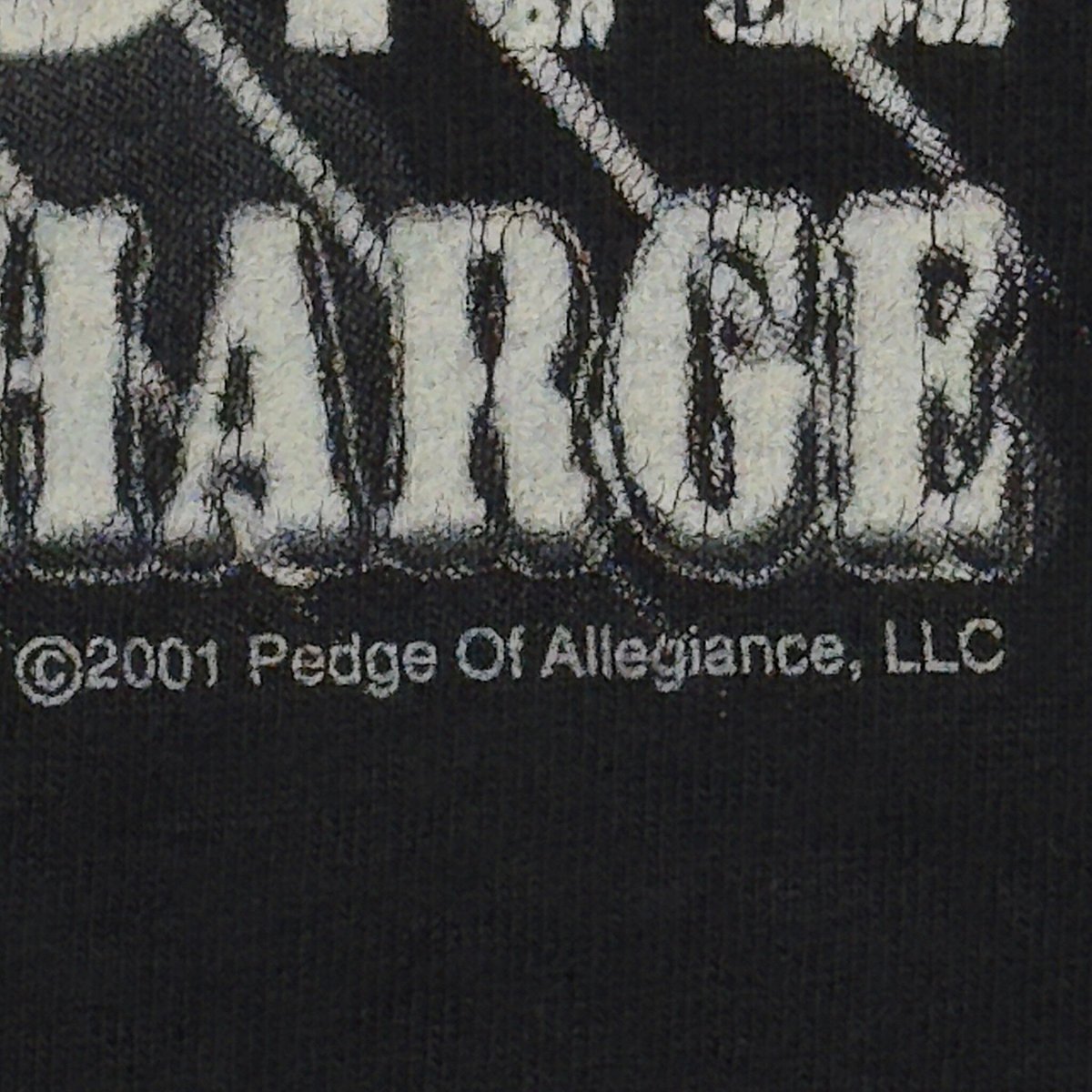 THE PLEDGE OF ALLEGIANCE TOUR 2001 SLIPKNOT SYS